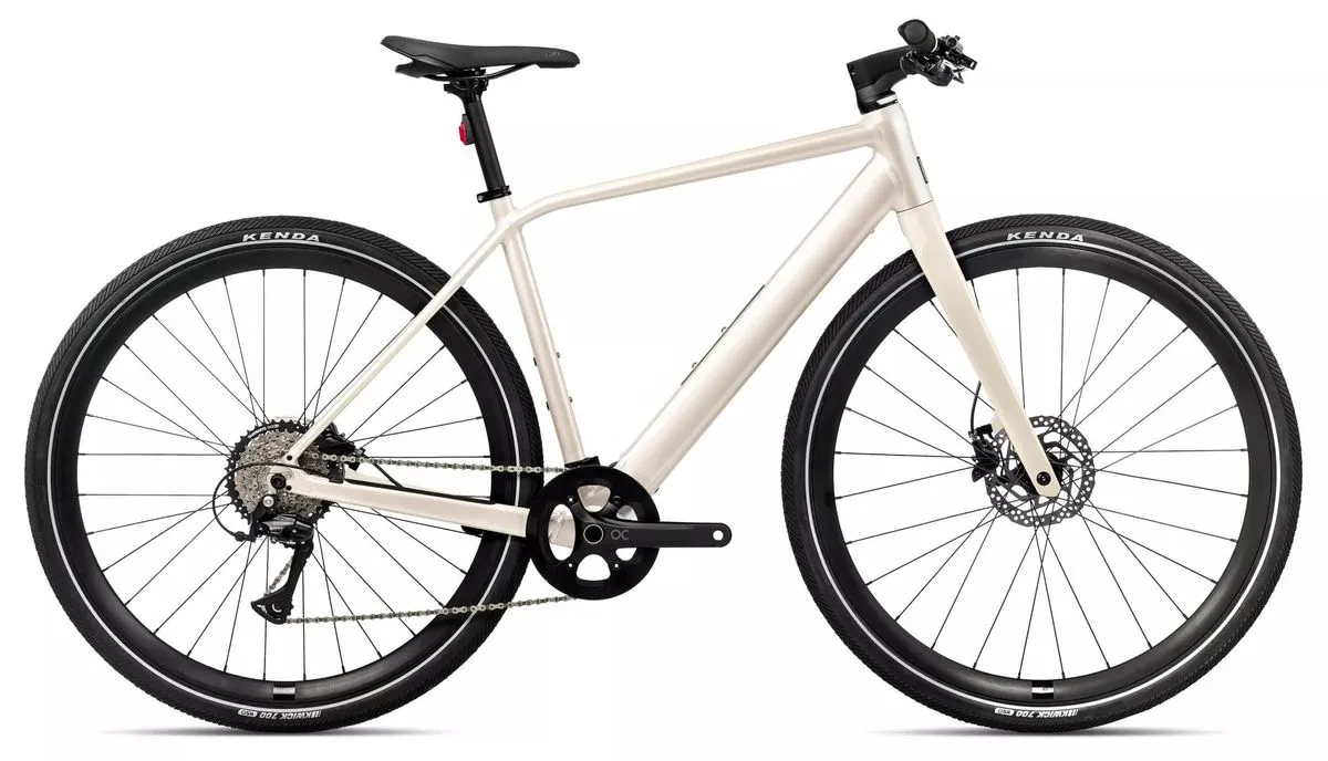Orbea Vibe H30 EQ (lightweight e-trekking bike, approx. 20 kg)